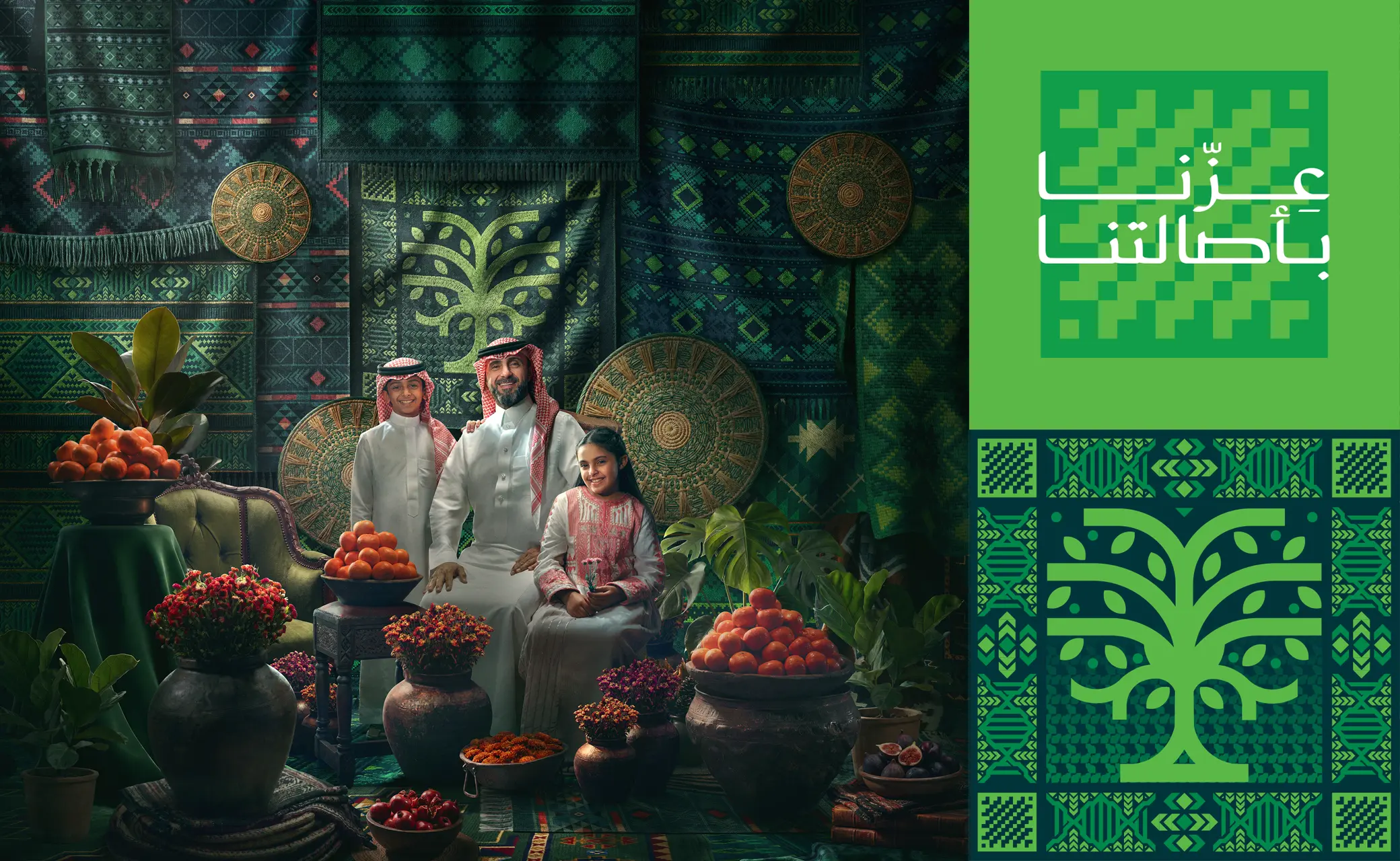 عرض اليوم الوطني
